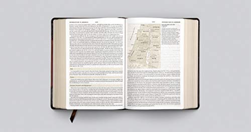 ESV Study Bible, Large Print (TruTone, Brown/Cordovan, Portfolio Design)