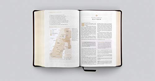 ESV Women's Study Bible (TruTone, Deep Brown): Holy Bible, English Standard Version