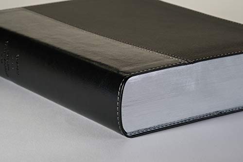 Every Man's Bible NIV, Large Print, TuTone (LeatherLike, Onyx/Black)
