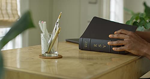 ESV Study Bible (Buffalo Leather, Deep Brown): Holy Bible, English Standard Version