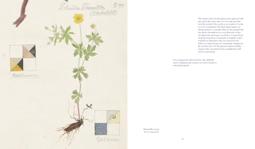 Hilma af Klint: What Stands Behind the Flowers