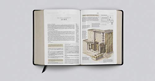 ESV Study Bible (Bonded Leather, Black)