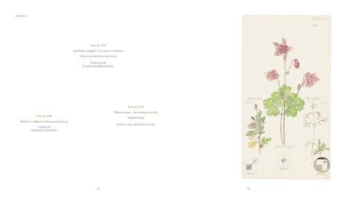 Hilma af Klint: What Stands Behind the Flowers