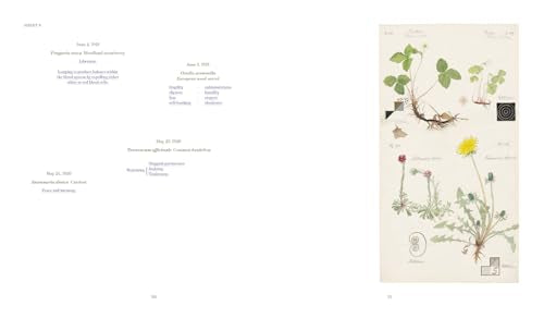 Hilma af Klint: What Stands Behind the Flowers