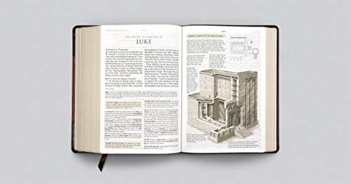 ESV Study Bible, Large Print (TruTone, Brown/Cordovan, Portfolio Design)