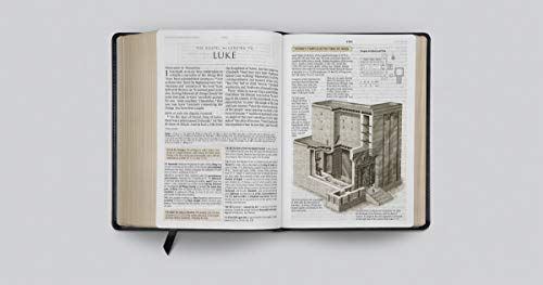 ESV Study Bible, Large Print (TruTone, Black): Holy Bible, English Standard Version