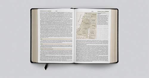 ESV Study Bible, Large Print (TruTone, Black): Holy Bible, English Standard Version