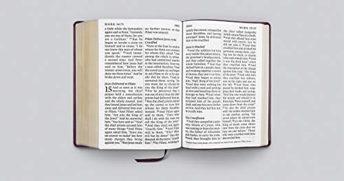 ESV Super Giant Print Bible (TruTone, Burgundy)