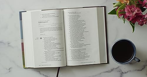 ESV Chronological Bible (Hardcover): Holy Bible, English Standard Version