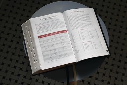 ESV, Thompson Chain-Reference Bible, Large Print, Leathersoft, Black, Red Letter, Thumb Indexed