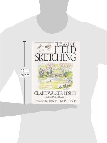 Field Sketching