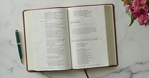 ESV Chronological Bible (TruTone, Brown): Holy Bible, English Standard Version