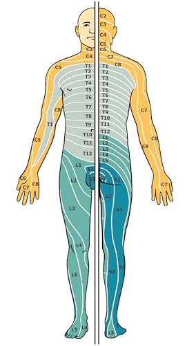 The Practitioner's Pocket Pal: A "Made Ridiculously Simple" Rapid Medical Reference