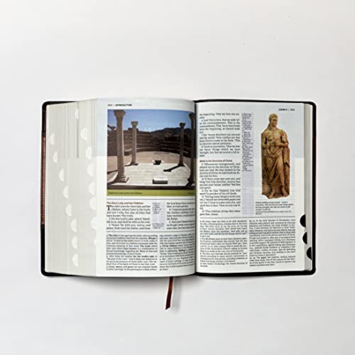 KJV, The King James Study Bible, Bonded Leather, Brown, Thumb Indexed, Red Letter, Full-Color Edition: Holy Bible, King James Version