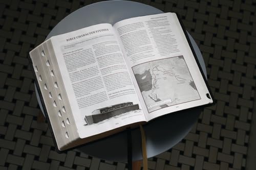 ESV, Thompson Chain-Reference Bible, Large Print, Leathersoft, Black, Red Letter, Thumb Indexed