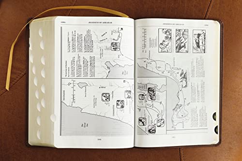 ESV, Thompson Chain-Reference Bible, Leathersoft, Brown, Red Letter, Thumb Indexed