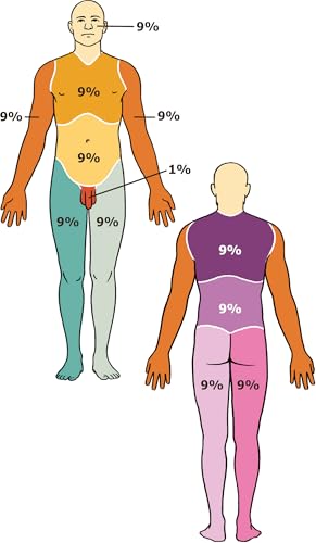 The Practitioner's Pocket Pal: A "Made Ridiculously Simple" Rapid Medical Reference