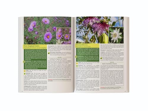 The Lost Book of Herbal Remedies II