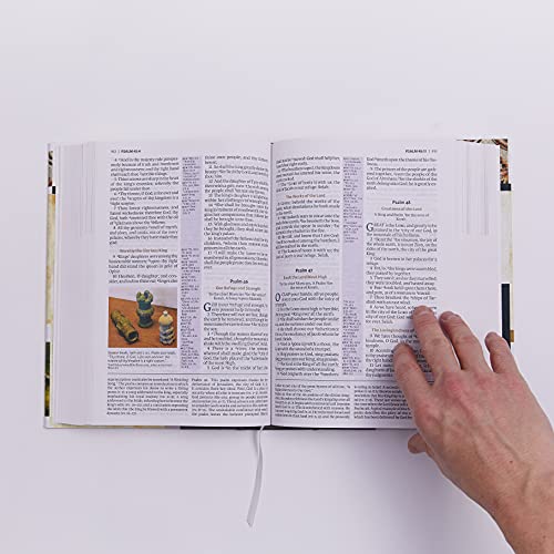 KJV, The King James Study Bible, Leathersoft, Burgundy, Red Letter, Full-Color Edition: Holy Bible, King James Version