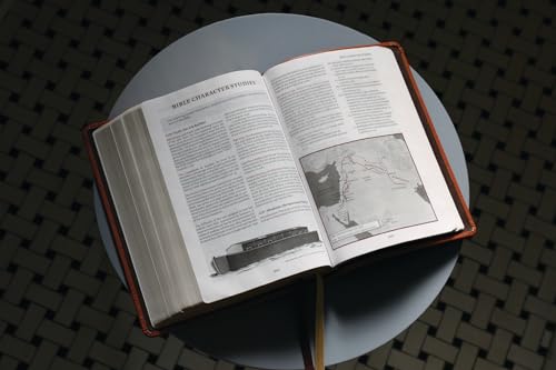 ESV, Thompson Chain-Reference Bible, Genuine Leather, Calfskin, Tan, Red Letter