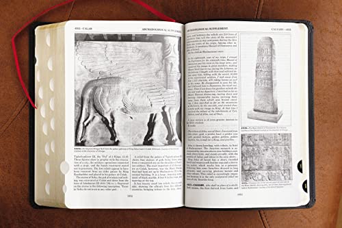 ESV, Thompson Chain-Reference Bible, Bonded Leather, Black, Red Letter, Thumb Indexed