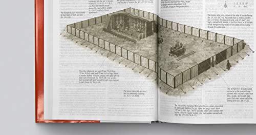 ESV Study Bible, Large Print (Indexed)