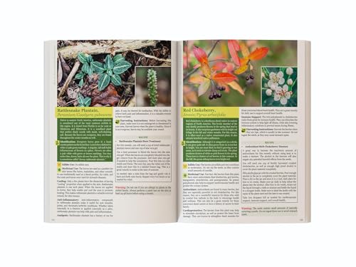 The Lost Book of Herbal Remedies II