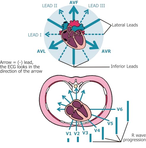The Practitioner's Pocket Pal: A "Made Ridiculously Simple" Rapid Medical Reference