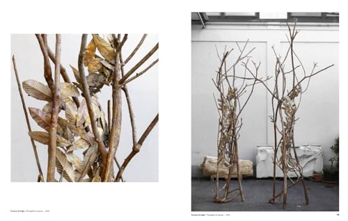 Giuseppe Penone: Imprints of Light