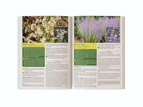 The Lost Book of Herbal Remedies II