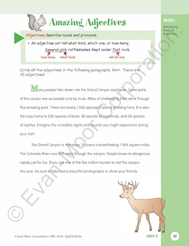 Evan-Moor Skill Sharpeners Spell and Write Workbook, Grade 6, 144 Spelling Words, Test Prep, Synonyms, Antonyms, Grammar, Punctuation, Adjectives, Creative Writing, Vocabulary, Activities, Homeschool