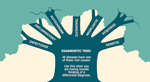 The Practitioner's Pocket Pal: A "Made Ridiculously Simple" Rapid Medical Reference