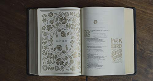 ESV Illuminated Bible, Art Journaling Edition (TruTone, Burgundy)