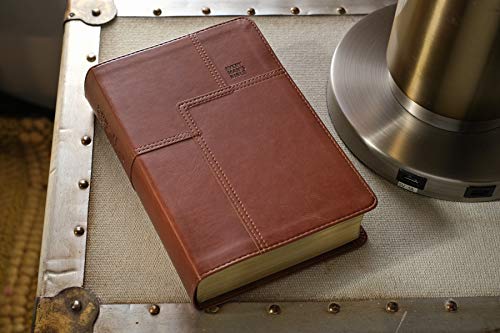 Every Man's Bible NLT, Deluxe Messenger Edition (LeatherLike, Brown)