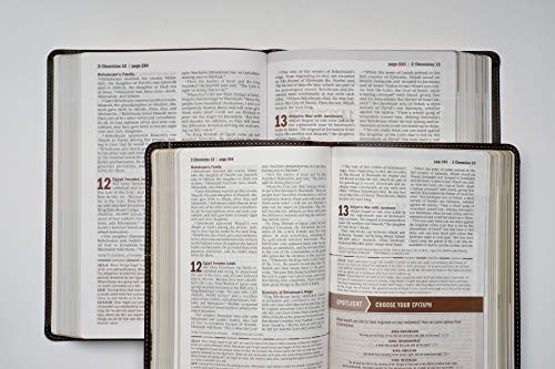 Every Man's Bible: New Living Translation, Large Print, TuTone (LeatherLike, Brown/Tan) – Study Bible for Men with Study Notes, Book Introductions, and 44 Charts