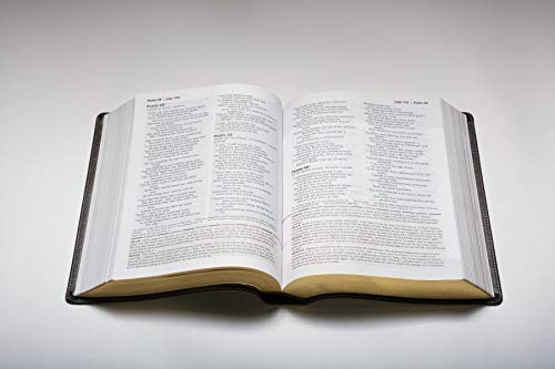 Every Man's Bible NIV, Large Print, TuTone (LeatherLike, Black/Tan)