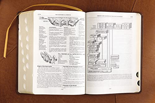 ESV, Thompson Chain-Reference Bible, Leathersoft, Brown, Red Letter, Thumb Indexed