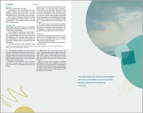 NLT Student Life Application Study Bible, Filament Enabled (LeatherLike, Charcoal Gray Striped, Indexed, Red Letter)