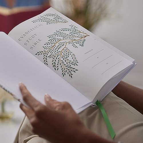 Evangelical Study Bible: Christ-centered. Faith-building. Mission-focused. (NKJV, Pink Leathersoft, Red Letter, Large Comfort Print)