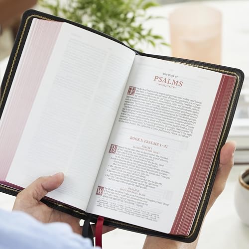 KJV, Personal Size Reference Bible, Sovereign Collection, Black Premium Goatskin Leather, Premier Collection, Comfort Print