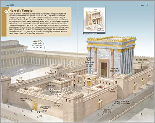 NLT Student Life Application Study Bible, Filament Enabled (LeatherLike, Charcoal Gray Striped, Indexed, Red Letter)
