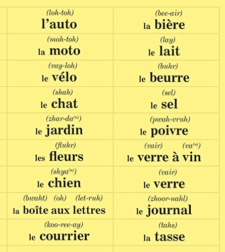 FRENCH in 10 minutes a day BOOK + AUDIO: Language course for beginning and advanced study. Includes Workbook, Flash Cards, Sticky Labels, Menu Guide, ... Grammar. Bilingual Books, Inc. (Publisher)