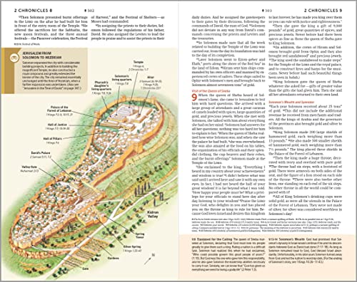 NLT Student Life Application Study Bible, Filament Enabled (LeatherLike, Charcoal Gray Striped, Indexed, Red Letter)