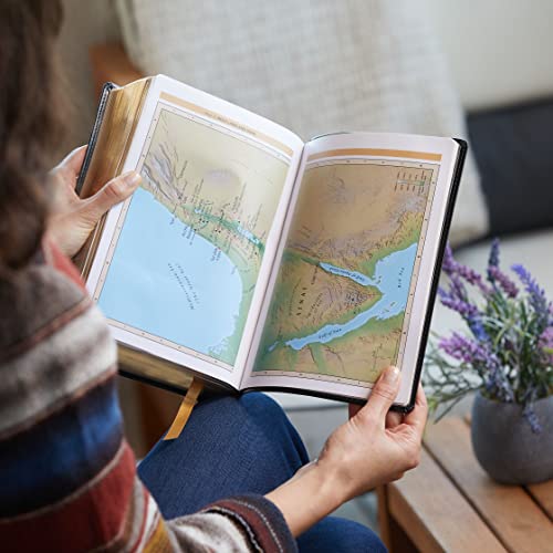 KJV, Foundation Study Bible, Large Print, Leathersoft, Brown, Red Letter, Comfort Print: Holy Bible, King James Version