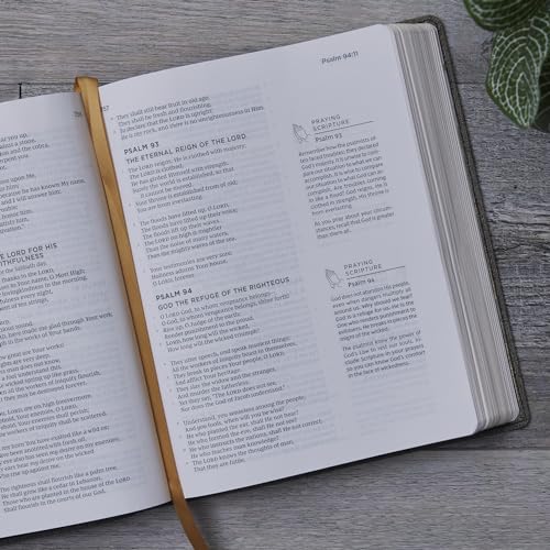 The Prayer Bible: Pray God’s Word Cover to Cover (NKJV, Black/Gray Leathersoft, Red Letter, Comfort Print)