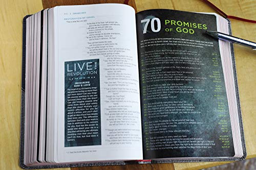 NIV, Revolution Bible, Leathersoft, Gray/Navy: The Bible for Teen Guys