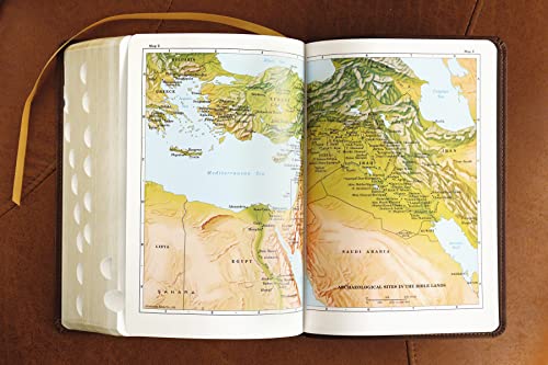 ESV, Thompson Chain-Reference Bible, Leathersoft, Brown, Red Letter, Thumb Indexed