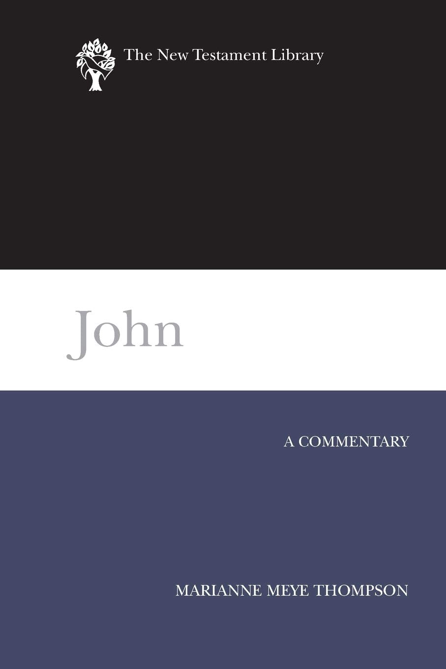 John: A Commentary