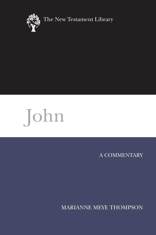 John: A Commentary