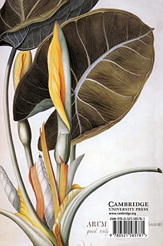 Flower Drawings (Fitzwilliam Museum Handbooks)